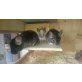 3 Chinchillas suchen dringend neues Zuhause, Langschwanzchinchilla - männlich