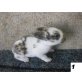 6 wöchige Zwergkaninchen-Babys, weibl+männl, 2 versch. Rassen, handzahm