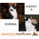 ALBANO & ROMINA, EKH - Kater