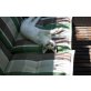 ANNIE, wilde Hummel - Katze