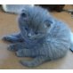 Aaron entdeckt die Welt - Kater