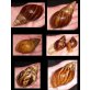 Achatschnecke - Zwitter