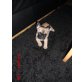 Adele von den Ostseebullys, Französische Bulldogge Welpen - Hündin
