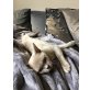 Ailja vom Silvan, Burmakatze - Katze