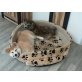 Akita Inu - Hündin