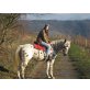 Alischa, Knappstupper, Deutsches Reitpony,Appaloosa - Stute