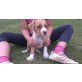 Amerikanischer Pit-Bullterrier Welpen - Hündin