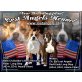 Amerikanischer Staffordshire-Terrier Welpen - Rüde