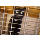Amigo, Europäisch Kurzhaar - Kater