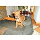Amstaff-rotweiler welpen Welpen - Hündin