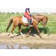 Andalusier-Haflinger-Walker, charmanter 4-jäh - Wallach