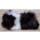 Angora