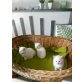 Angoramischlinge - Kater