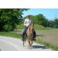 Appaloosa - Stute