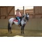 Appaloosa - Wallach