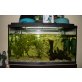Aquarium komplett mit Besatz