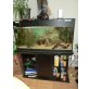 Aquarium komplett mit Inhalt