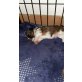 Archie, Havaneser shih-tzu Welpen - Rüde