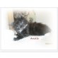 Arielle, Maine Coon - Katze