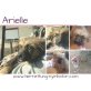 Arielle, Mischling Welpen - Hündin