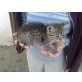 BABYKATER - Kater