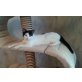 BELCHO, Tierschutz - Kater
