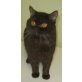 BKH Junge in chocolate kastriert, Britisch Kurzhaarkatze - Kater