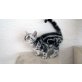 BKH Katze Katzenbaby in black silver tabby cl, Britisch Kurzhaarkatze - Katze