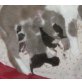 BKH Kitten männlich und weiblich in bicolour, Britisch Kurzhaarkatze - Kater