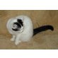BKH Mädchen schwarz-weiss mit ö. Stammbaum, Britisch Kurzhaarkatze - Katze