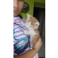 Baby Katzen - Kater