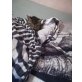 Babykatzen - Katze