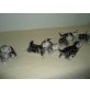 Babys, Britisch Kurzhaarkatze - Katze