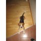 Balou, Beagle Welpen - Rüde