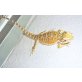 Bartagame