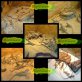 Bartagame