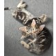 Bauernhofkatzen - Kater