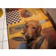 Beagle-Dackelmix Welpen - Hündin