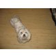 Bella, Malteser-Bichon Mischling - Hündin