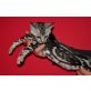 Bengalkatze - Katze