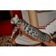 Bengalkatze - Katze
