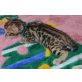 Bengalkatze - Katze