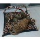 Bengalkatze - Katze
