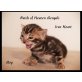 Bengalkitten suchen liebevolle Familie, Bengalkatze - Kater