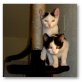 Benjamin & Bernd, EKH - Kater