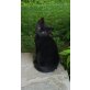 Bergkatze 2, Bergkatze - Katze