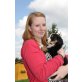 Berner-/Entlebucher- Sennenhund Welpen - Rüde