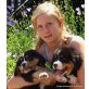 Berner Sennenhund Welpen - Hündin