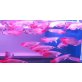 Beste Qualität Arowana Fisch (Gechipt + CITES - weiblich