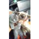 Bkh 1 Kätzchen coco point / 1 Kater blue  , Britisch Kurzhaarkatze - Kater